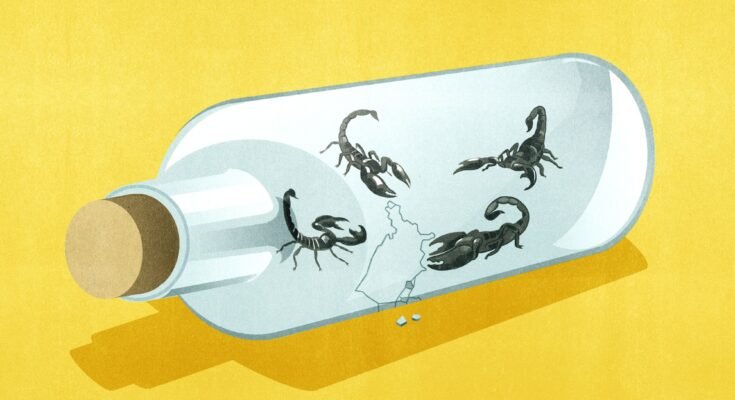 Aperçu des États-Unis à l'intérieur d'une bouteille de verre de chorale avec des scorpions
