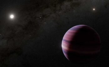 Ce concept de ce désactivation montre à quoi pourrait ressembler la planète géante du gaz en orbite autour de la star alpha Centauri.