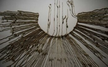 Un coton et une fibre d'agave Inca Khipu sont vus lors d'une exposition au Smithsonian National Museum of the American Indian en 2015 à Washington, DC